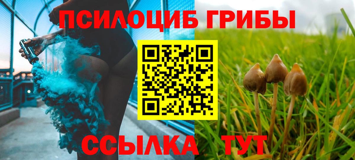 Галлюциногенные грибы Magic Shrooms  Псилоцибиновые грибы Psilocybine cubensis  цена наркотик  Ликино-Дулёво  Вход с VPN 
