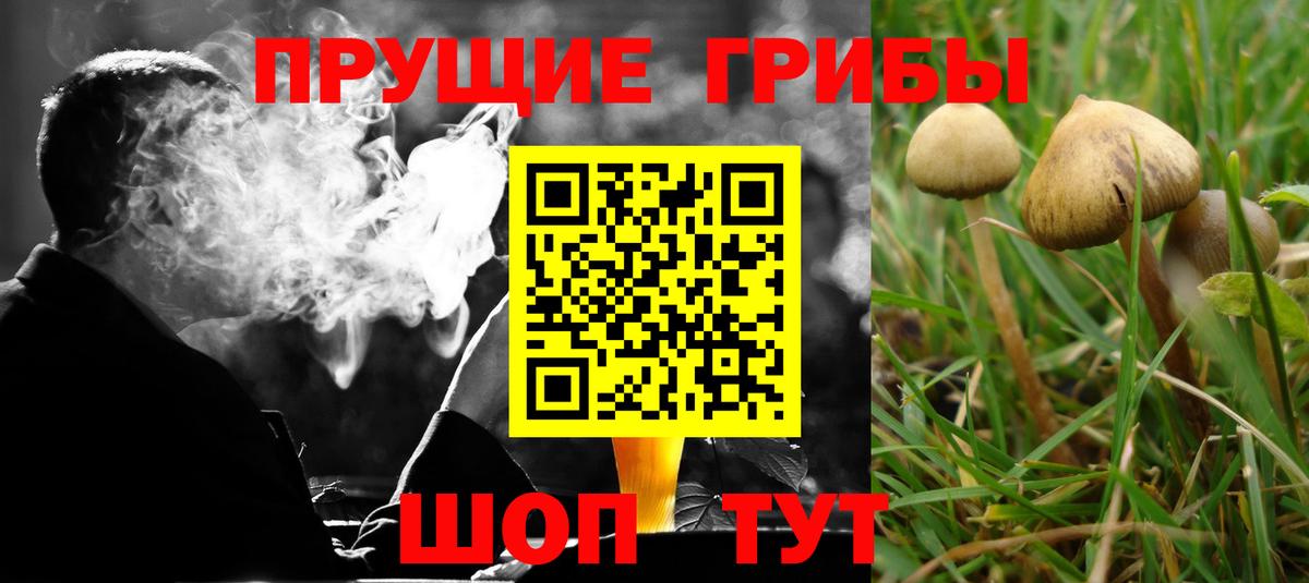 Меф МЯУ МЯУ кристаллы  Марихуана  Альфа ПВП СК кристаллы  COCAIN  НБОМе  Ликино-Дулёво  Гашиш  Вход с VPN 